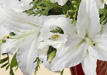 White Lilies