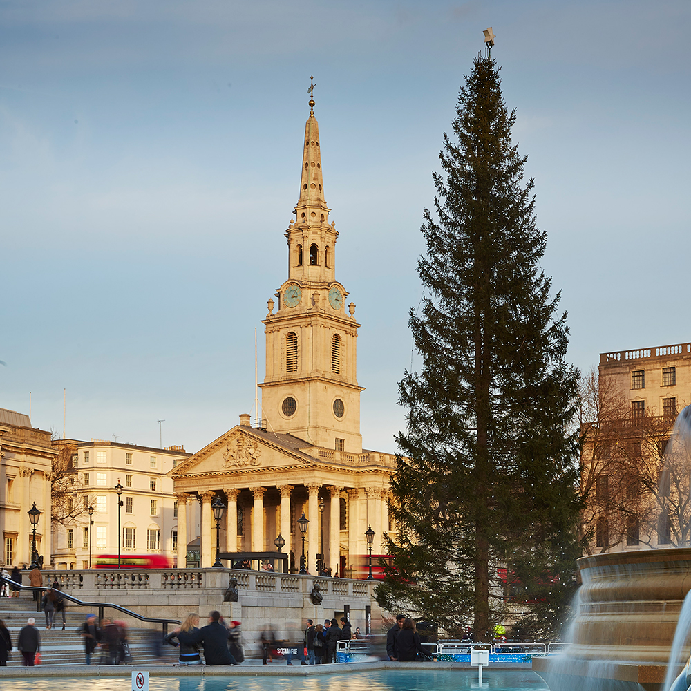 Christmas tree in trafalgar square with St Martin's in the background